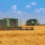 Врожай зернових і олійних у 2025 році буде на 5% меншим, ніж попередній – Мінагрополітики