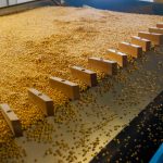 Верховна Рада проголосувала за введення 10% мита на експорт сої та ріпаку
