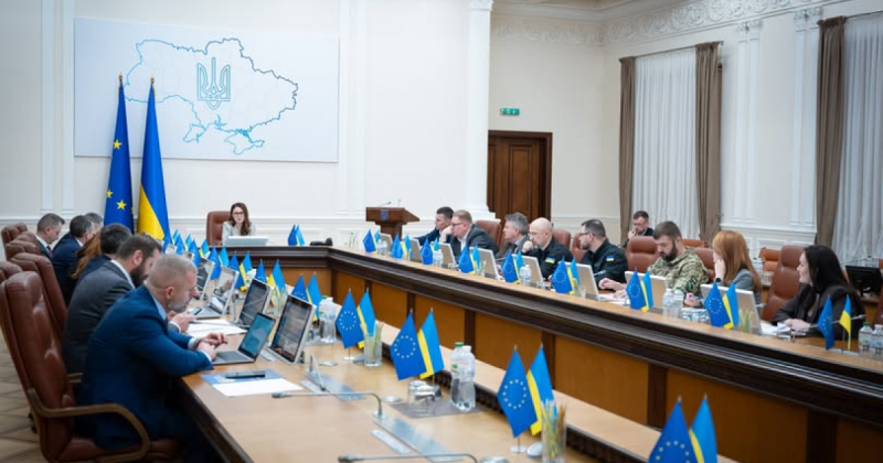 Уряд звільнив Олену Думу з посади очільниці АРМА