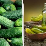 Чи вдасться українцям законсервувати огірки цього року: прогноз експерта
