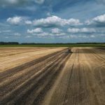 Вартість гектара землі в Україні зросла на 60% після запуску земельного ринку – «Опендатабот»