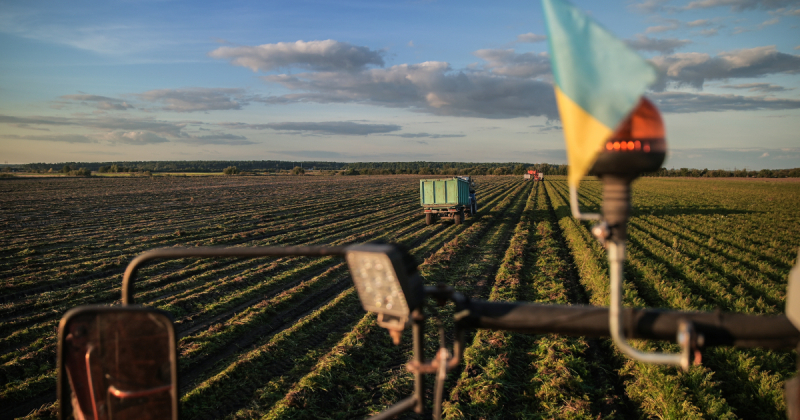 За час війни в Україні відкрилось в 2,5 рази більше агропідприємств, ніж закрилось – Опендатабот