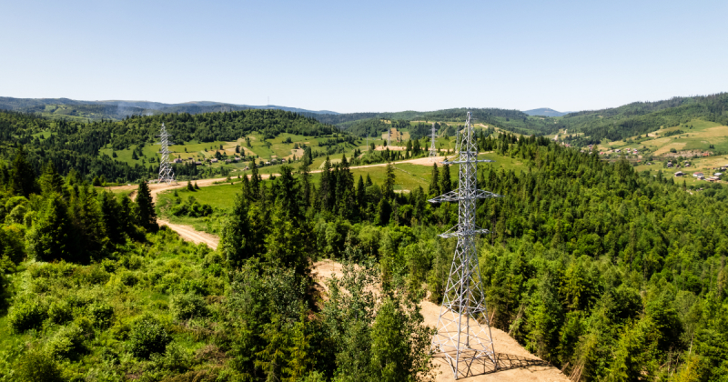 ОККО Group Віталія Антонова інвестує €11 млн в будівництво електромереж у Карпатах