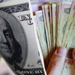 Скільки буде коштувати долар та євро у серпні: прогноз банкіра
