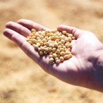 США погрожують запровадити нові мита на сільськогосподарську продукцію ЄС, – Financial Times