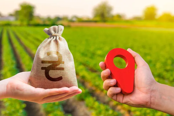 В Україні на 60% зросла ціна гектара землі. Де найдорожча земля