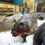 З українських прилавків зникає популярна риба: скільки зараз коштує