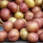 Ціни на картоплю в Європі впали до чотирирічного мінімуму
