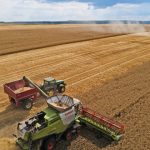 Мінекономіки зберігає прогноз врожаю зернових цьогоріч на рівні 56 млн тонн