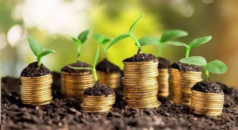 Уряд залучив понад 312 млрд грн від продажу ОВДП з початку року