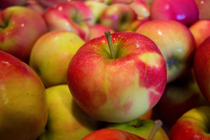 Заморозки вдарили по врожаю яблук: ціни залишаться високими — EastFruit