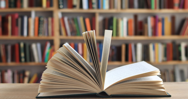 Інтернет-магазини «Leader-Books», «Книгоград», «Барракуду» та «Книжкову хату» заблокували за продаж російських видань