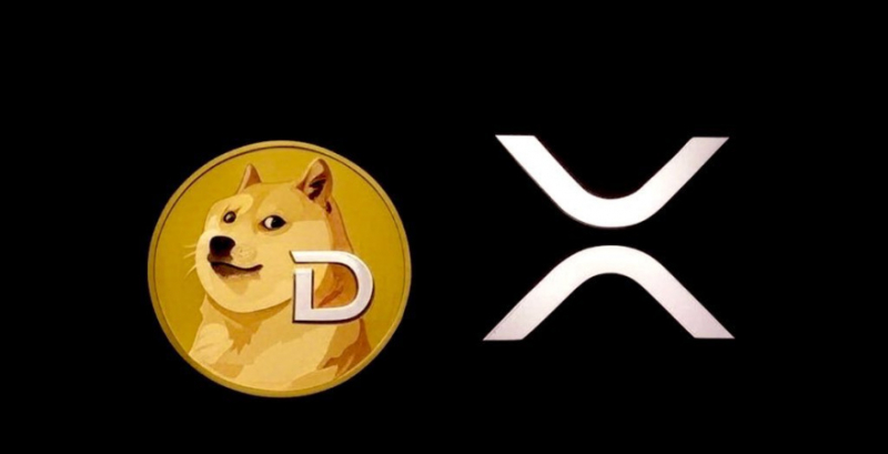 Історичний дебют: ETF на XRP та Dogecoin показали рекордні обсяги торгів