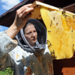 В Україні хочуть створити єдиний реєстр пасік