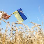 Загальний борг України перевищить 100% ВВП: що закладено в проекті бюджету-2026