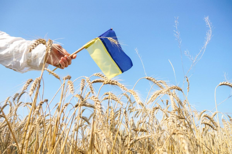 Загальний борг України перевищить 100% ВВП: що закладено в проекті бюджету-2026