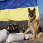 Німецька вівчарка