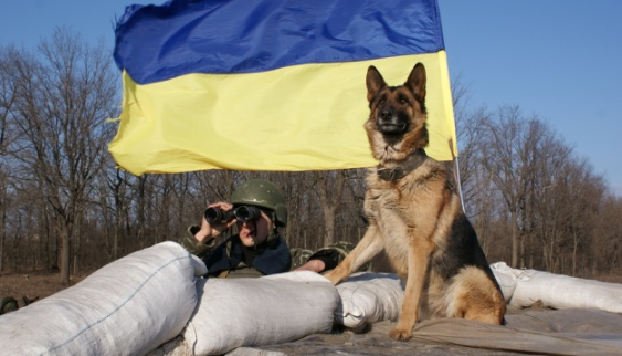 Німецька вівчарка