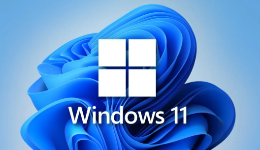 Windows 11