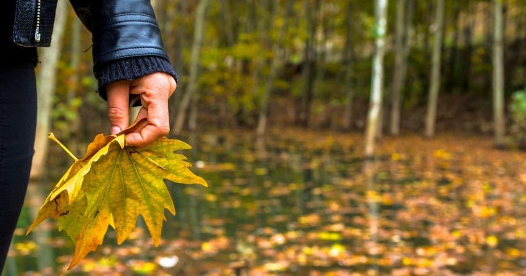 5 листопада — церковне свято святих Галактіона та Епістими: молитви, народні прикмети та православний календар