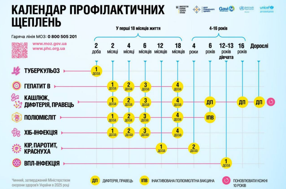 Календар щеплень 2026 в Україні — нові дати, безоплатна вакцинація від ВПЛ та перехід на ІПВ: що зміниться