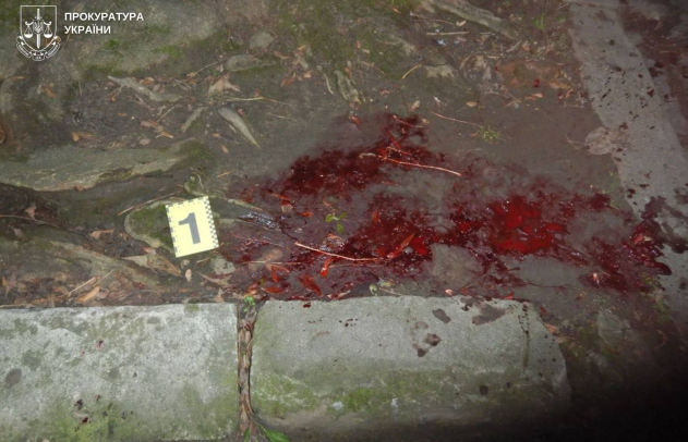 Львів, 3 грудня — чоловік смертельно поранив працівника ТЦК під час перевірки документів: що відомо про напад і затримання