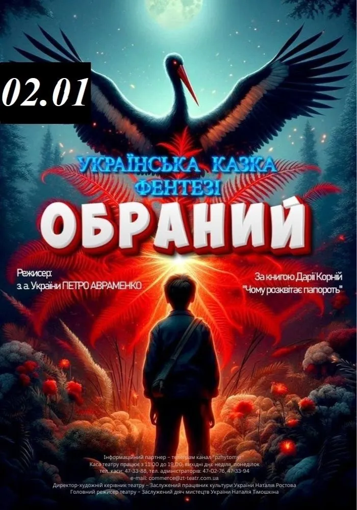 Де зустріти Новий рік 2026 у Житомирі: події, концерти, дати та ціни
