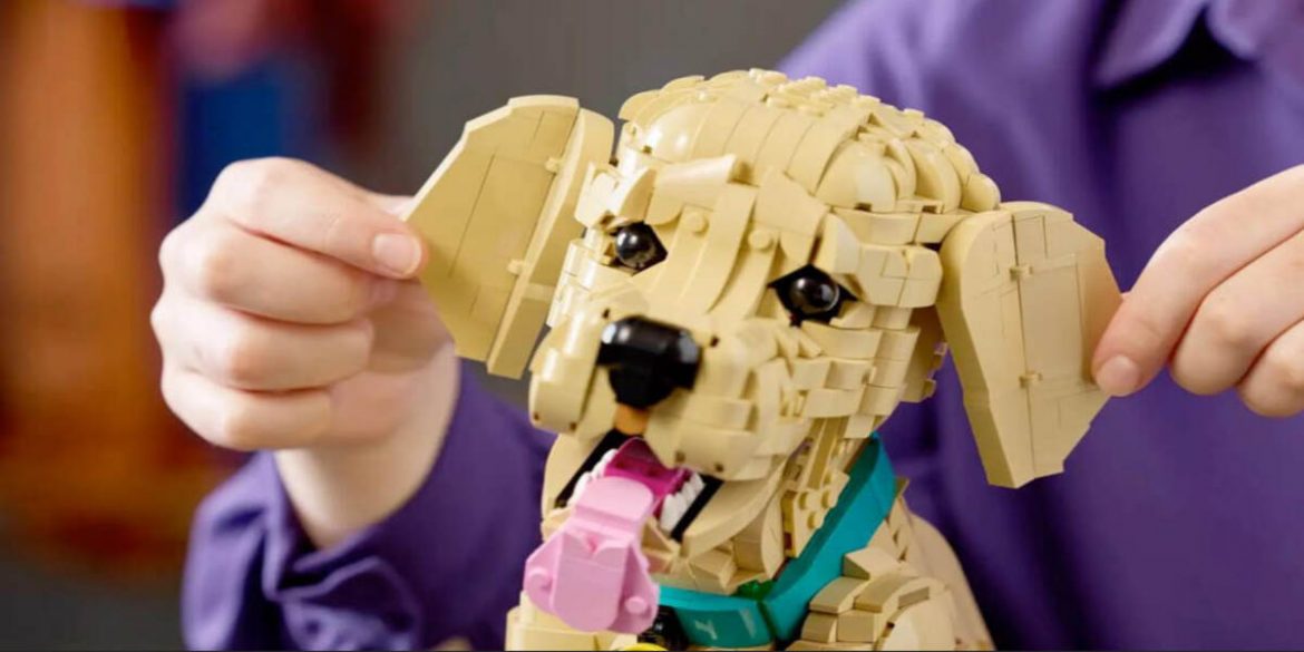 LEGO випустили цуценя-ретривер : де купити, ціна та скільки деталей