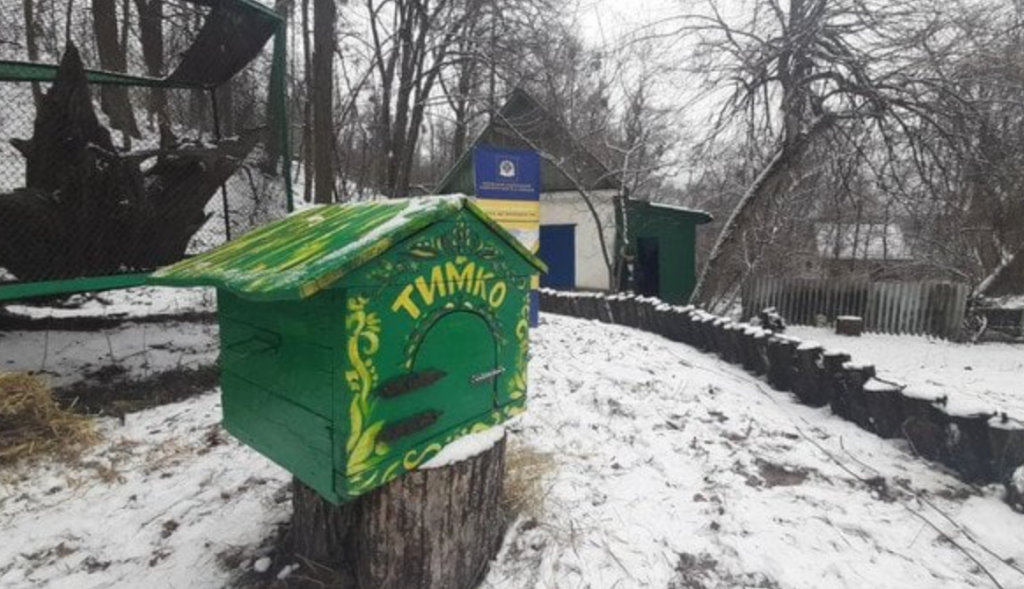 Харківський бабак Тимко IV дав прогноз на весну 2026: коли прийде потепління і що сказали науковці