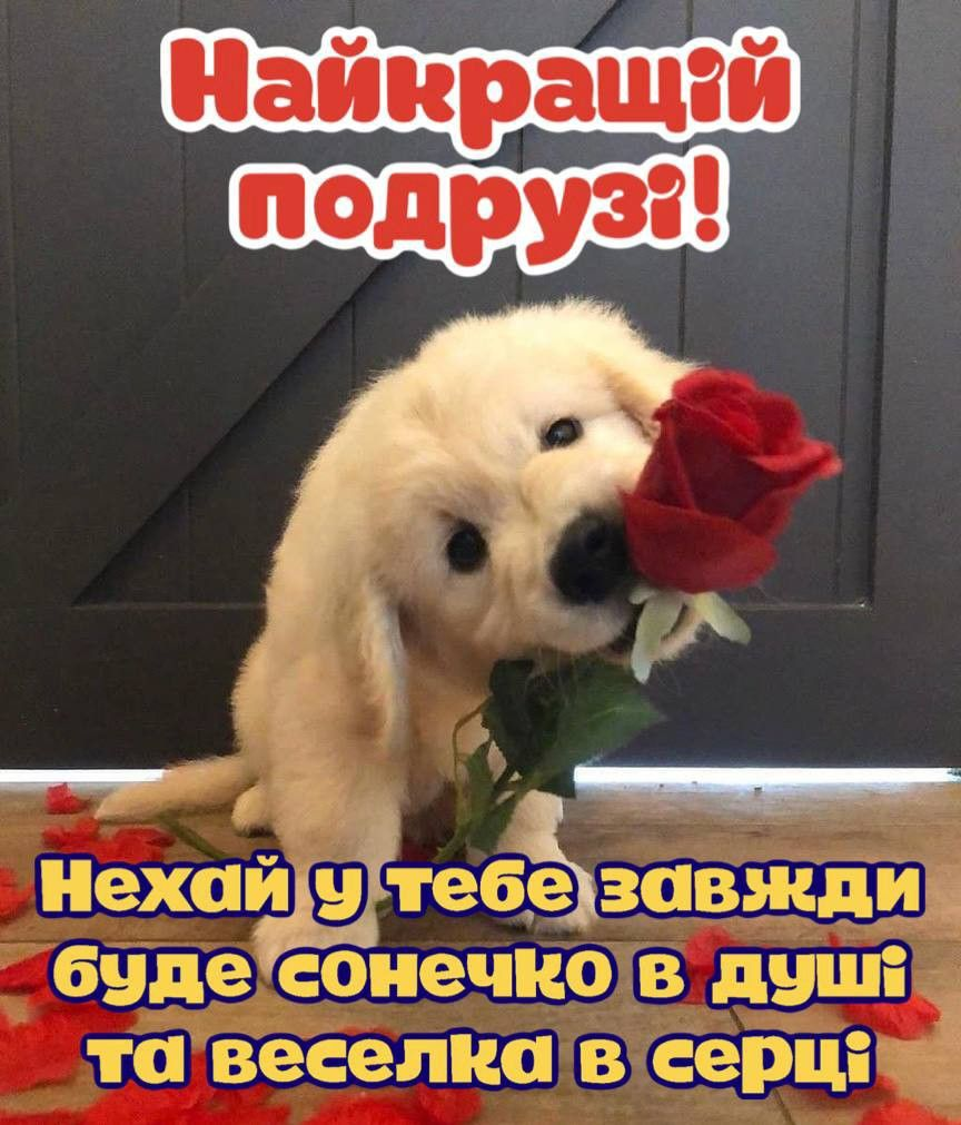 Привітання з 8 березня для подруги: СМС, короткі побажання, листівки, картинки та GIF