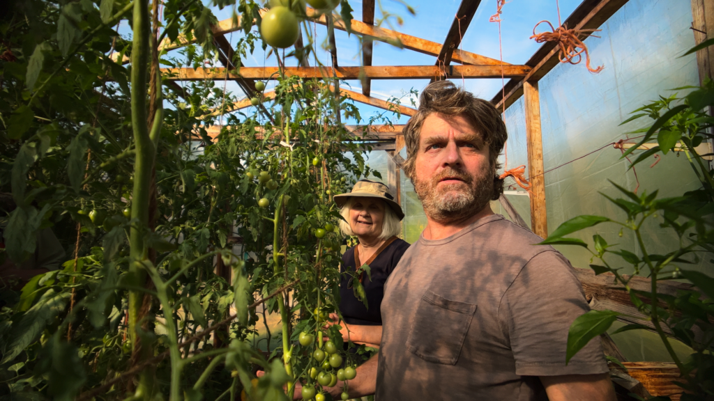 Зак Галіфіанакіс запускає This Is a Gardening Show на Netflix: дата прем’єри, трейлер і де дивитися онлайн