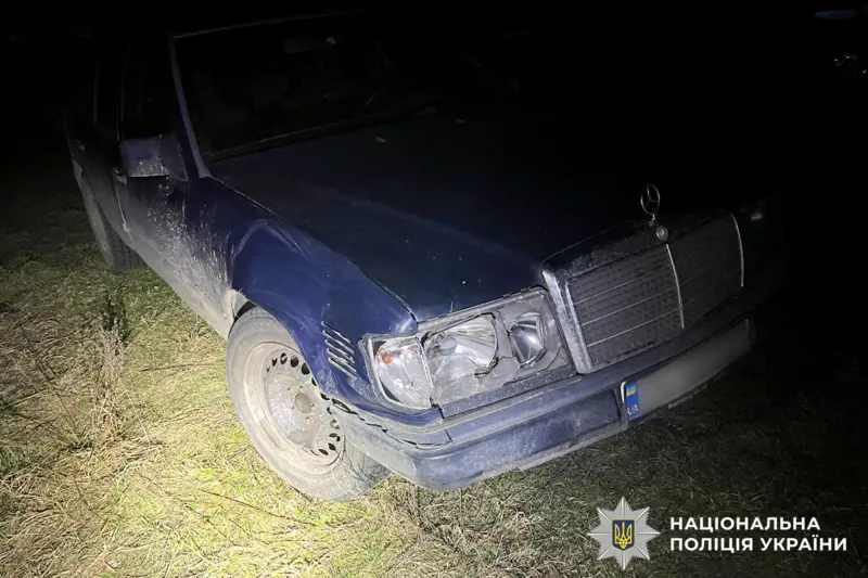 На Рівненщині машина збила оленя Бориса: як сталася аварія, коли це було і що відомо про стан тварини