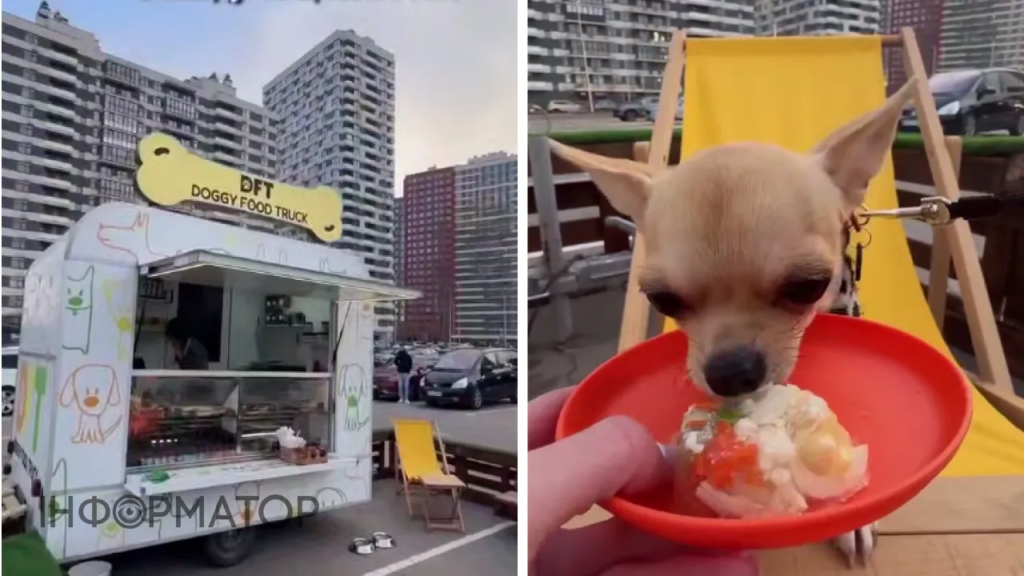 Перший собачий ресторан у Києві відкрили біля Retroville: де знаходиться Doggy Food Truck і що є в меню
