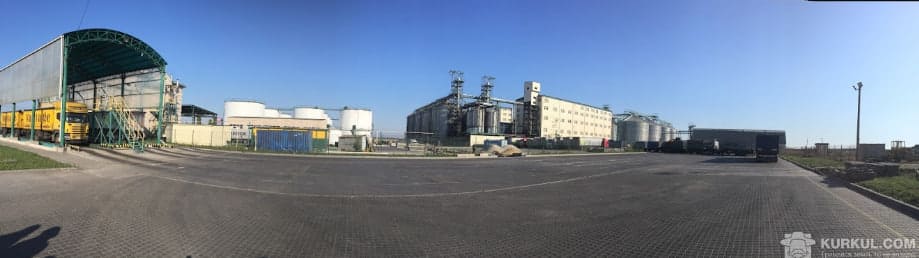 Allseeds призупинила роботу на Одещині через атаки на порти: що заявила компанія