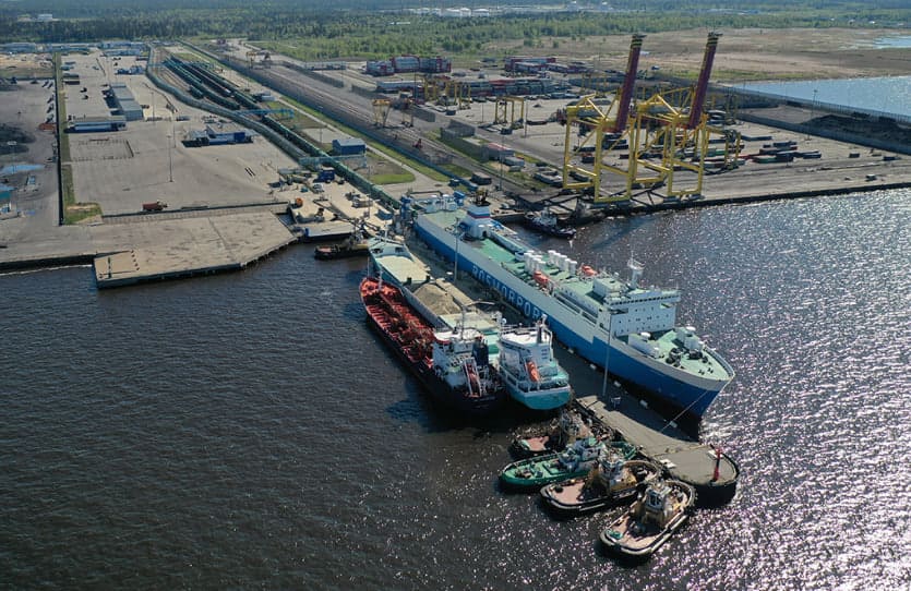 Усть-Луга після атаки дронів 14 серпня: що сталося в російському порту