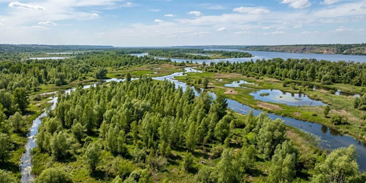 Що буде на місці Каховського водосховища: як змінюється Великий Луг і що пропонують науковці